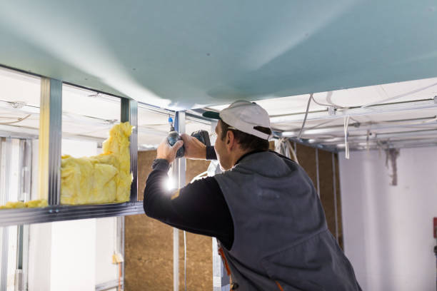 Best Insulation Installation Services in Park River, ND