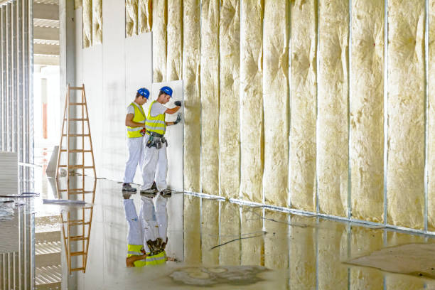 Best Types of Insulation in Park River, ND